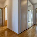 Villa Kuca Za Odmor - Gala, Pula